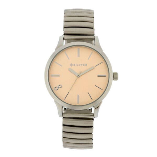 STEEL ADJUSTABLE EXTENSIBLE MESH WATCH 38MM CASE