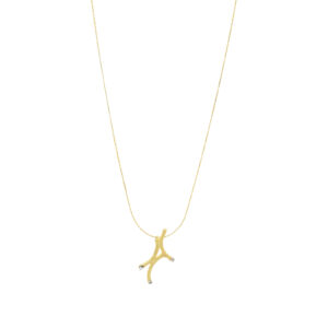Collar estrella fugaz