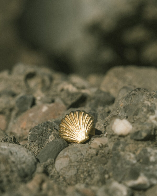 Shell Ring (Universal Size)