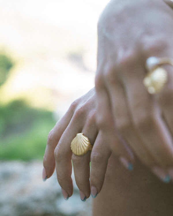 Shell Ring (Universal Size)