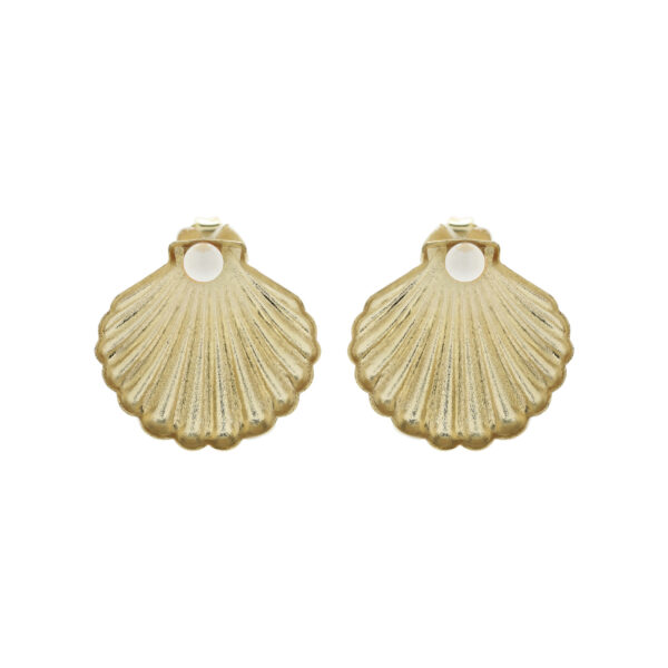 Small Shell and Pearl Earring
