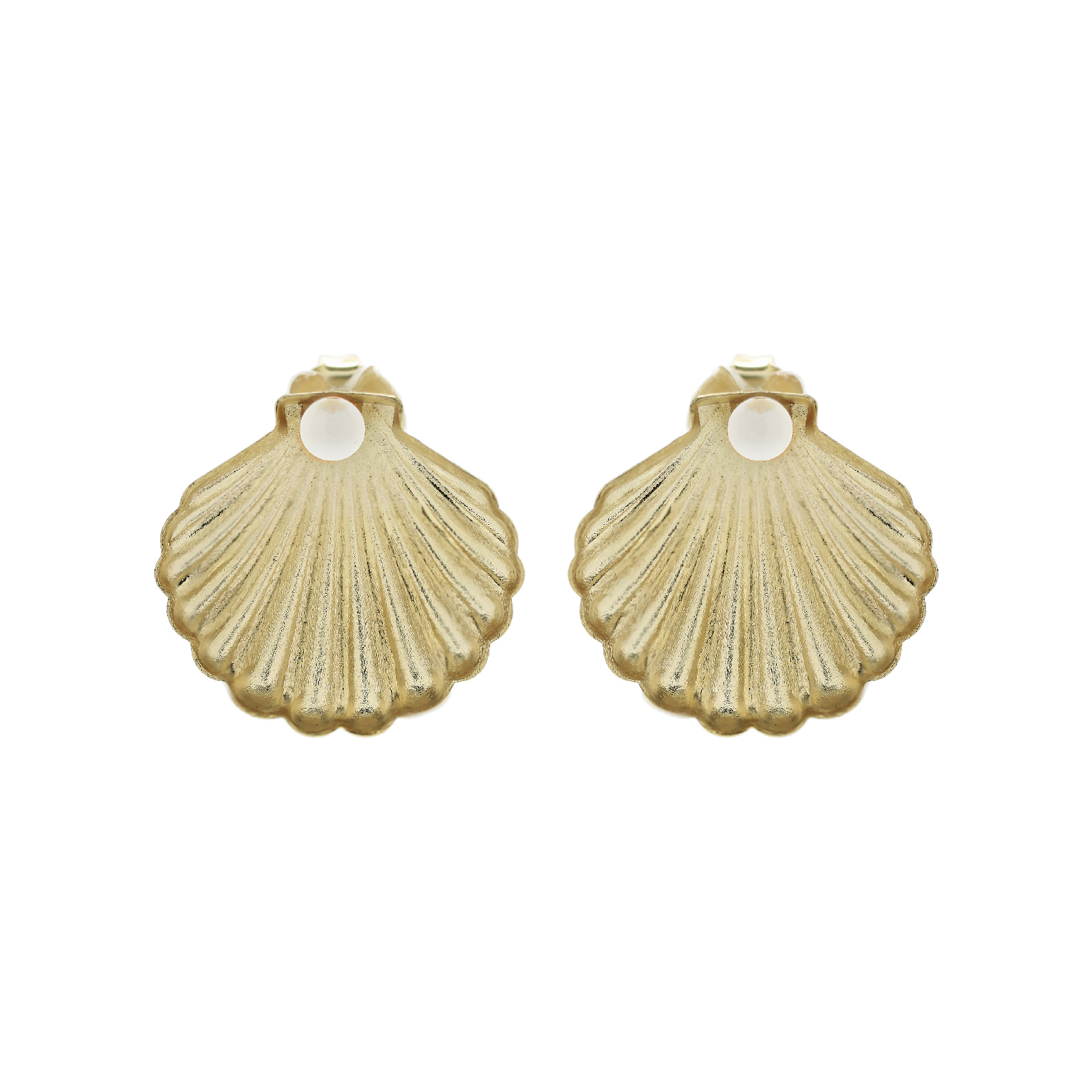 Small Shell and Pearl Earring