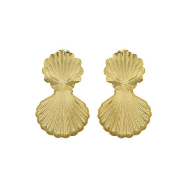 Shell Earrings
