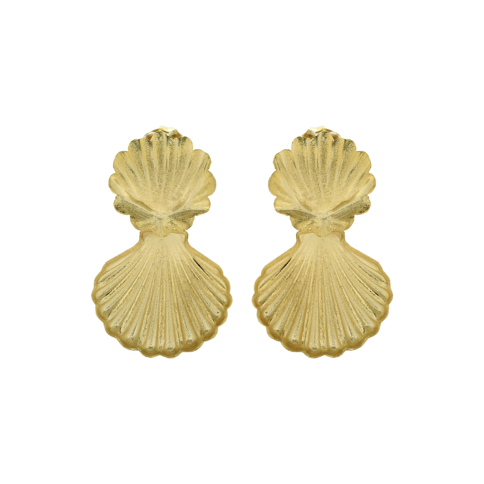Shell Earrings