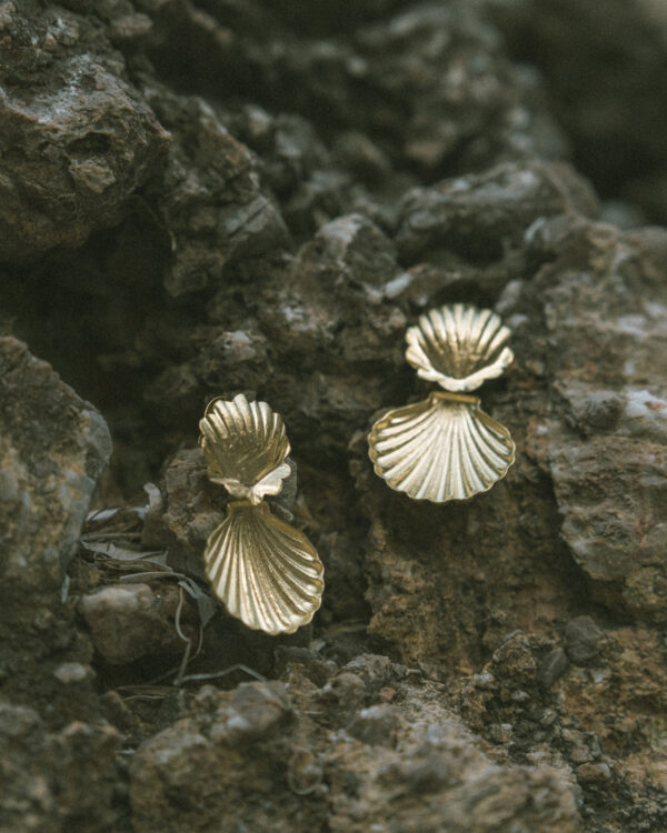 Shell Earrings