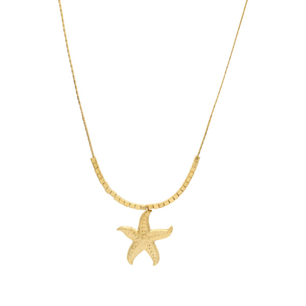 Collar Estrella de Mar con segmentos