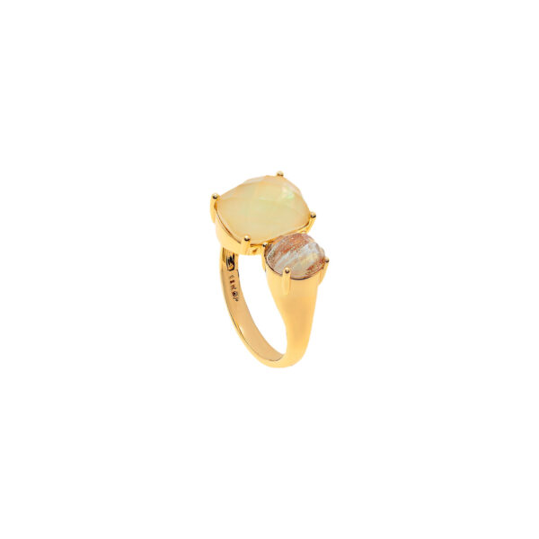 Anillo universal adaptable
