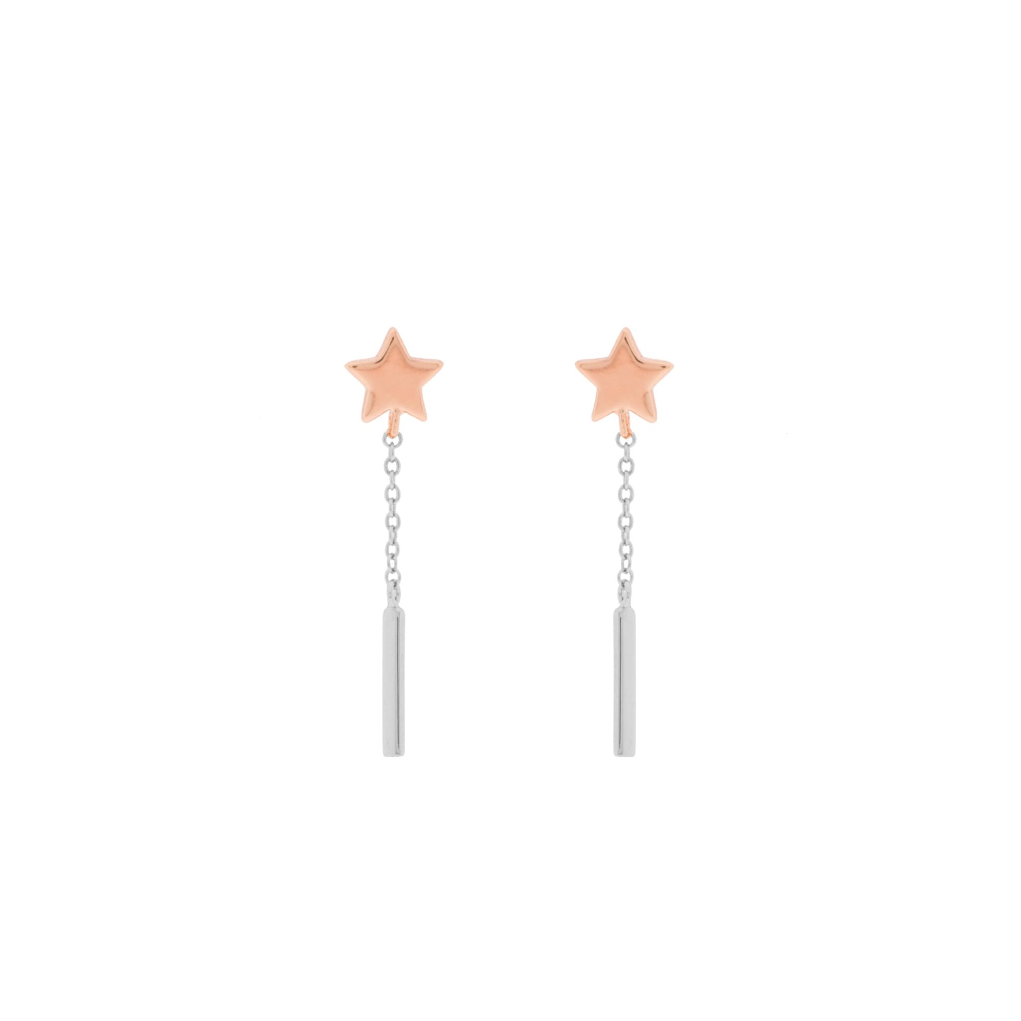 COMBINED PLATED BAR AND STAR EARRING