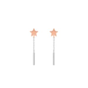 COMBINED PLATED BAR AND STAR EARRING