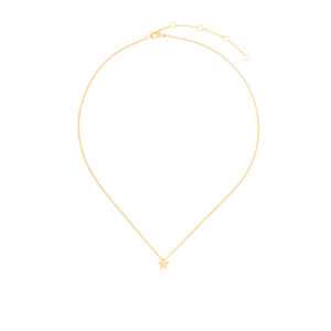 COLLAR CON ESTRELLA CHAPADO ORO