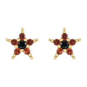 PENDIENTE ESTRELLA CON CIRCONITAS