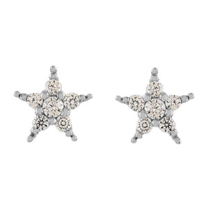 PENDIENTE ESTRELLA CON CIRCONITAS