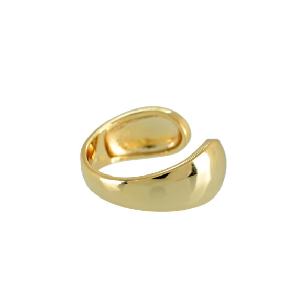 ANILLO UNIVERSAL ABIERTO