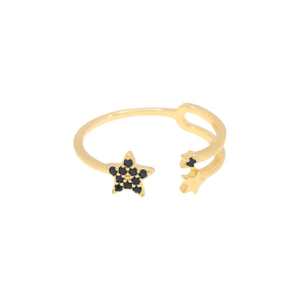ANILLO UNIVERSAL