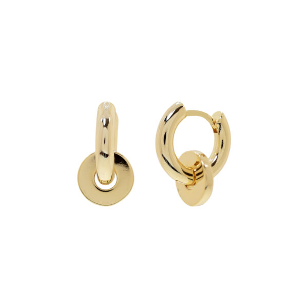 Convertible double hoop