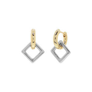 Convertible double hoop