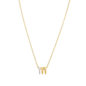 Collar combinado oro plata