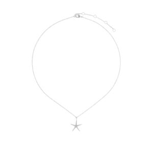 COLLAR CON ESTRELLA MAR PLATA DE PRIMERA LEY
