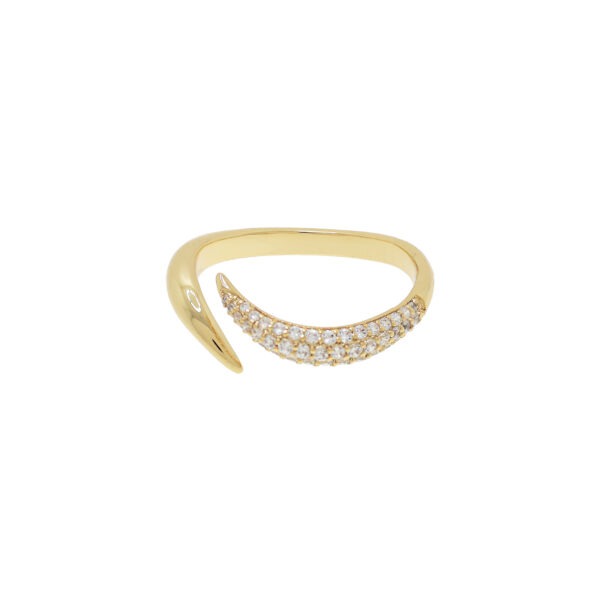 Universal cut ring with zircons